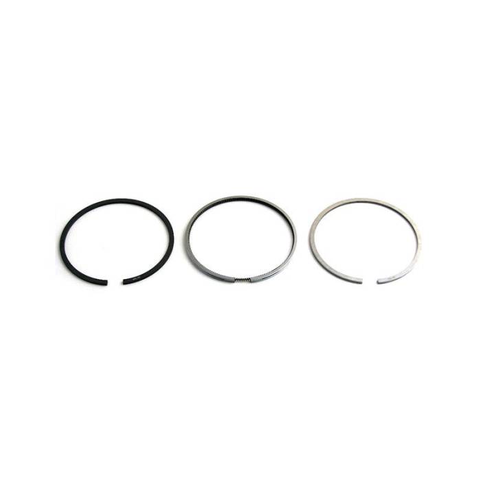 Massey Ferguson - 4181A019-FP - Massey Ferguson PISTON RING SET