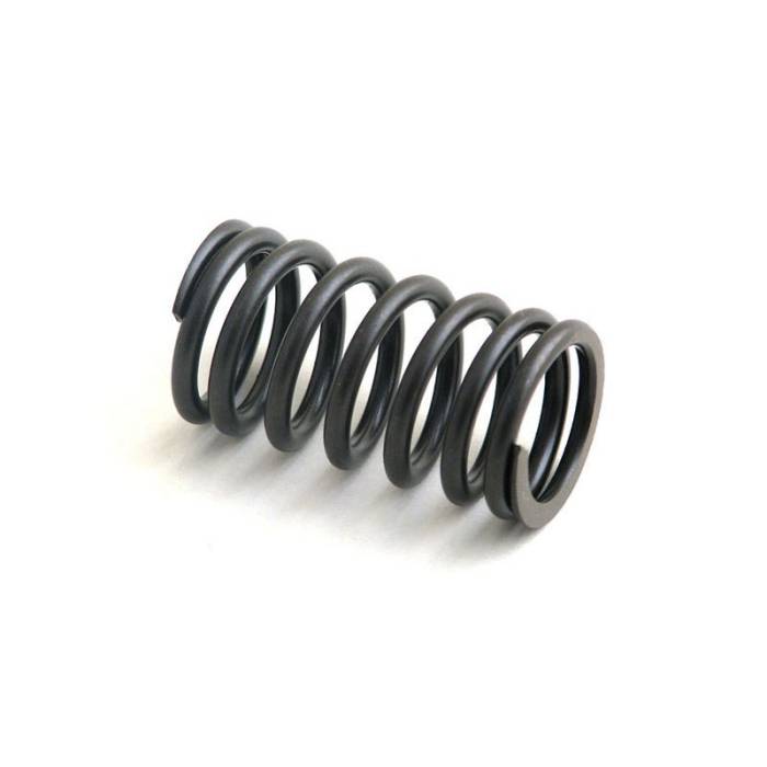 International - FP160907 - International Valve Spring