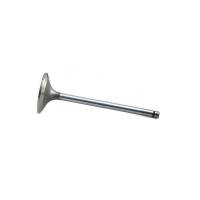 R98062-FP - For John Deere Intake Valve