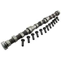 RG22421-FP - For John Deere Camshaft & Lifter Kit