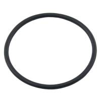 704100-FP - International Liner Sealing Ring