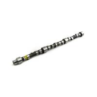 31416303K-FP - Massey Ferguson CAMSHAFT & LIFTERS KIT