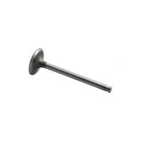 Massey Ferguson - 31431681-FP - Massey Ferguson, Allis Chalmers INTAKE VALVE - Image 2