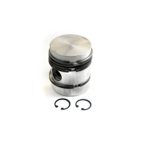 FP171284 - Ford New Holland PISTON & RINGS