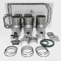 FP829 - For John Deere Inframe Overhaul Kit