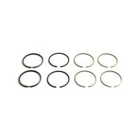 FP181189 - Oliver Piston Ring Set